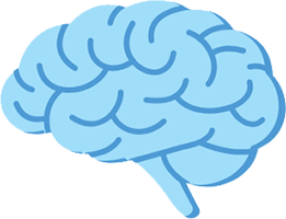 Light blue brain illustration
